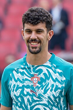Tomás Araújo