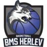BMS Herlev Wolfpack