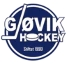 Gjovik