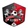 Fleury 91