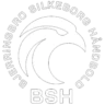 Bjerringbro-Silkeborg
