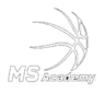 MS Academy