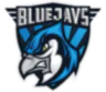BLUEJAYS.de