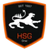 HSG Holding Graz
