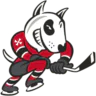 Niagara Icedogs