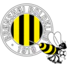 Bronshoj BK