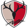 Kashima Antlers