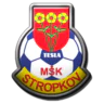 MSK Tesla Stropkov