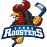Iserlohn Roosters