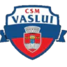 HC Vaslui