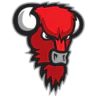 Bisons Loimaa