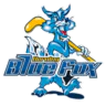 Herning Blue Fox