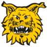 Tampereen Ilves
