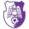 FC Argeș Pitești
