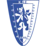 Karcagi SE