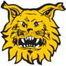 FC Ilves