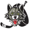 Chicago Wolves