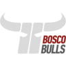 Kapfenberg Bulls