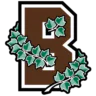 Brown Bears