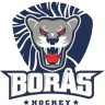 Boras HC