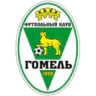 FC Gomel