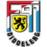 F91 Düdelingen