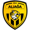 Aliaga