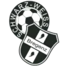 Schwarz-Weis Bregenz