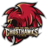 Tainan Ghosthawks