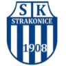 SK Strakonice 1908