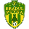 AS Bradul Putna