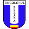 نادي تريكولورل بريزا لكرة القدم