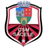 CSM Sacele