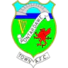 Pontardawe Town AFC
